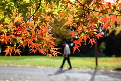 哀愁の日常散歩