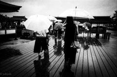 雨　　宮島物語