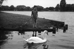 少年と白鳥