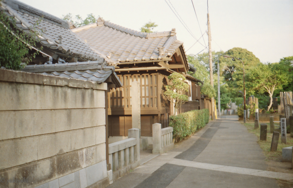 戦地から戻って(自称名作）