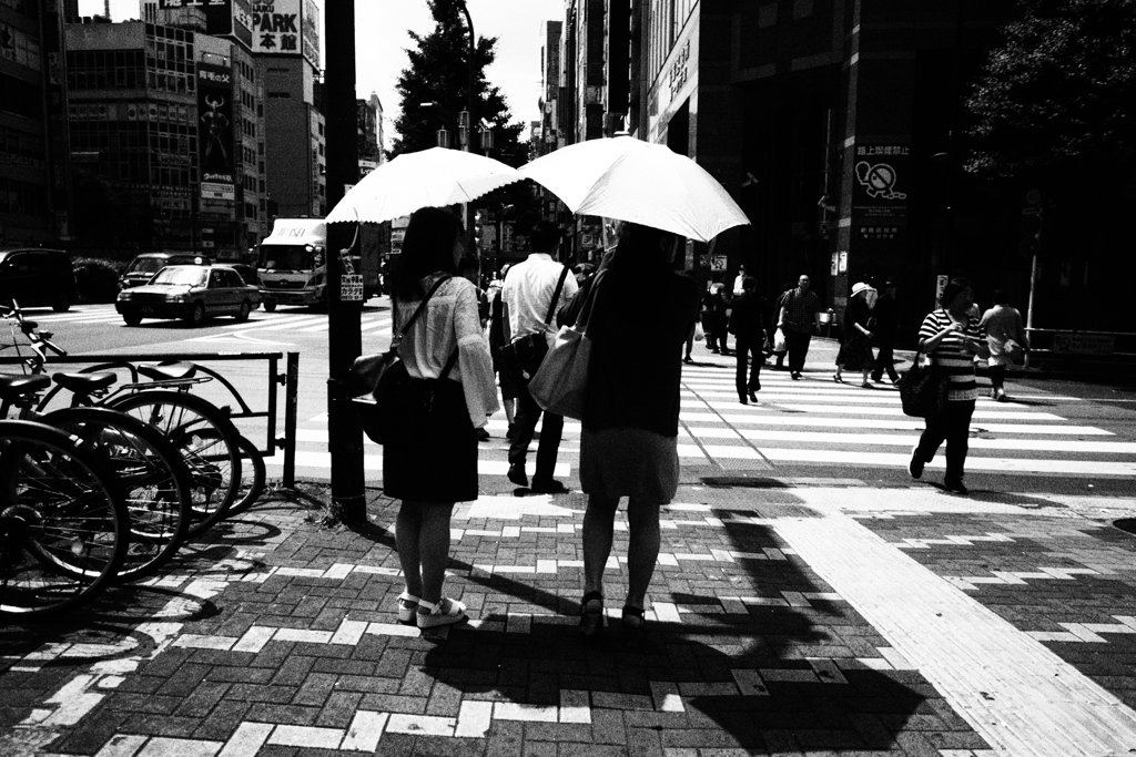 日傘が触れ合う季節