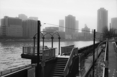 もじゃもじゃを発見して、遠くを見つめた