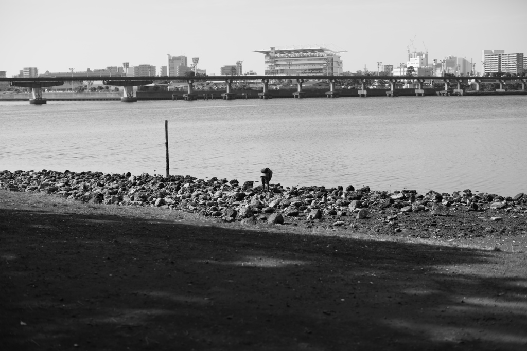 インディージョーンズ