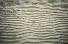 消えてゆく思い出