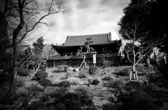 歌川広重「月の松」