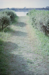 そこの向こうは海