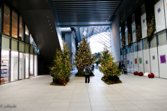 クリスマスツリーは俺だけのもの