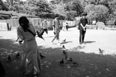 ヒッチコック・・・襲われた美女