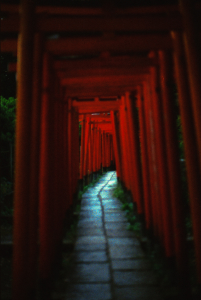 行ってみろよ