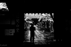 凶日　桜見日和　4