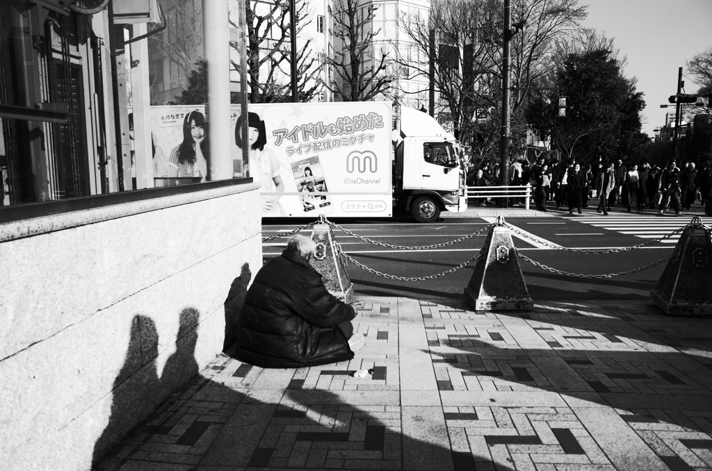 アイドルも始めた