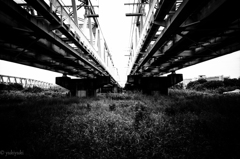 ＧＲ１Ｖで撮る高架下