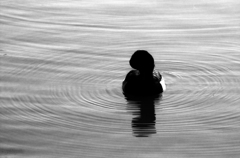 浮いていたあいつ