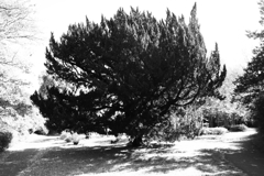 ゆきゆきが撮る秋