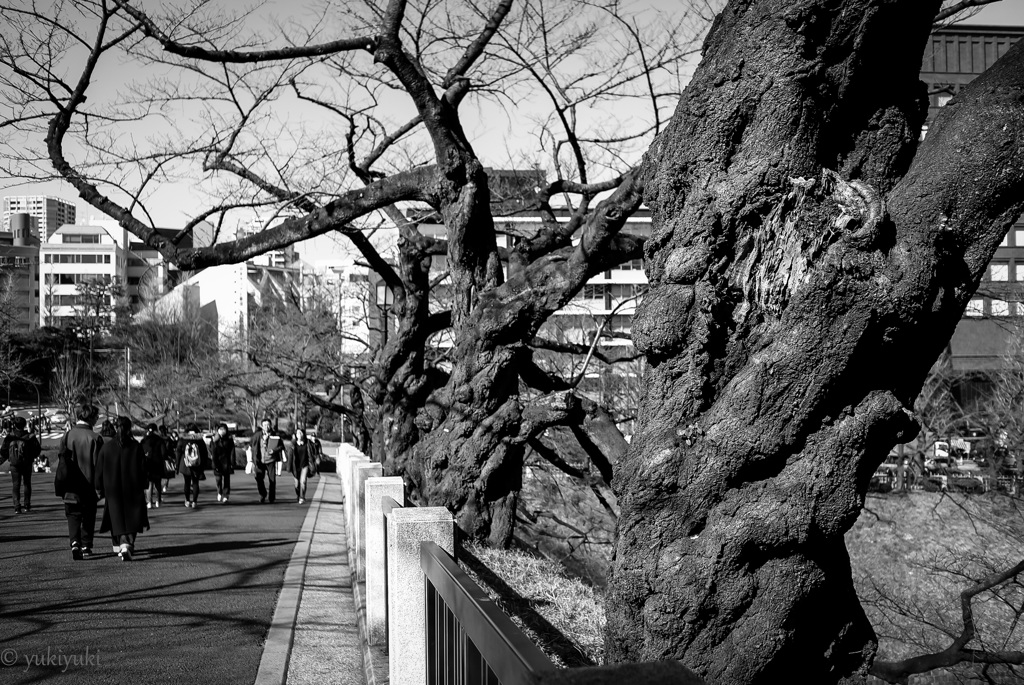 乾燥した光景