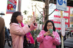 ピンクな女たち　１