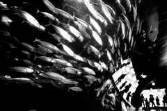 人生の流れ