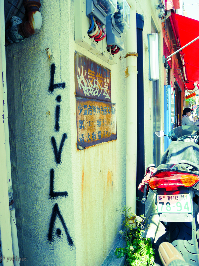 LｉｖＬＡ　　Chinatown