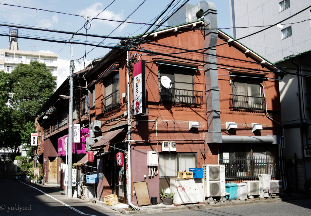 洲崎パラダイス