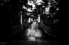 北越物語　見知らぬ場所での初詣