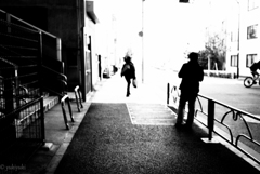 蜘蛛は光を求めて