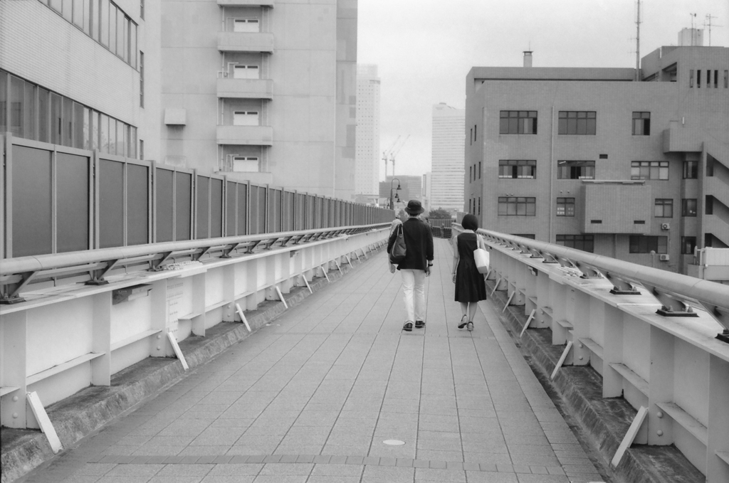 絶妙な距離