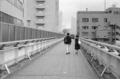 絶妙な距離