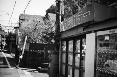 フジカラーで写そう