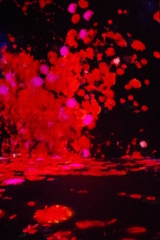 血塗られた世界