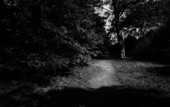 ひとり森にたたずむ