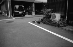 わんぱくでもいい