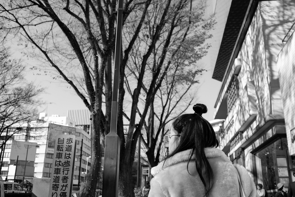 あるチョンマゲ