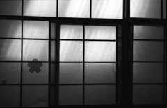 昭和枯れすすき