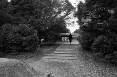 あの丘の自販機