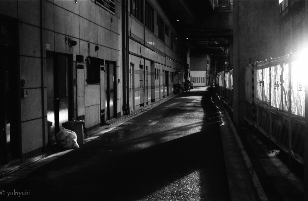 散歩道
