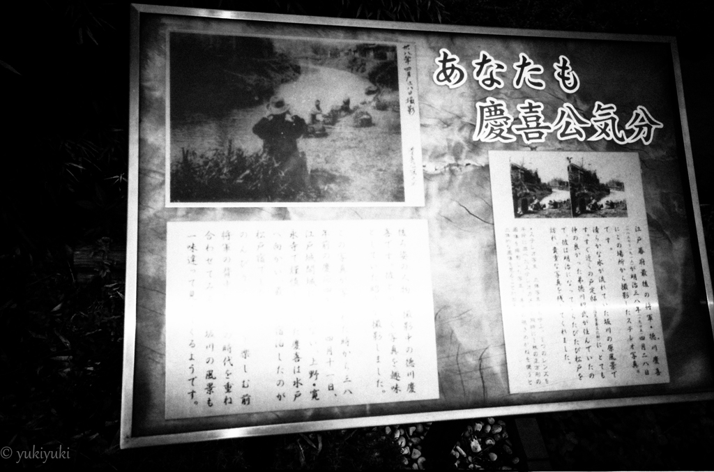 リアル徳川慶喜公　宿場物語