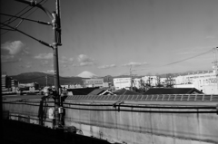 冷凍ミカンを食べながら見た光景