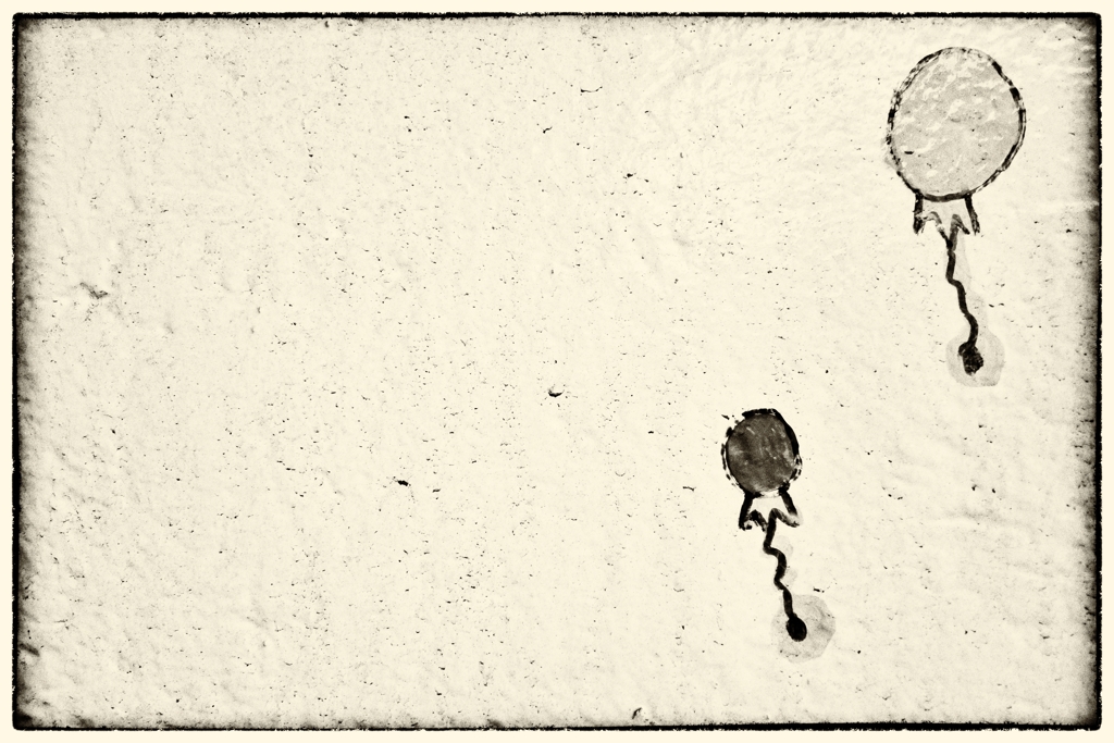 あの場所へ届け