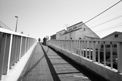 坂の上のオヤジ　サイクリングヤッホー