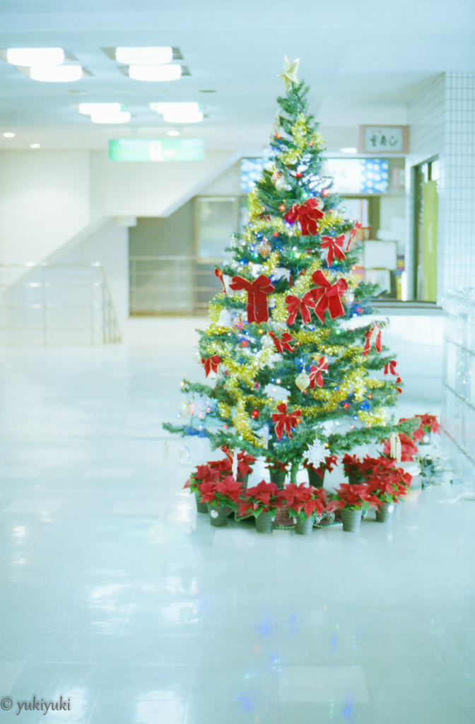 季節外れのクリスマスツリー　