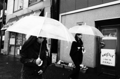 雨のぼんやり