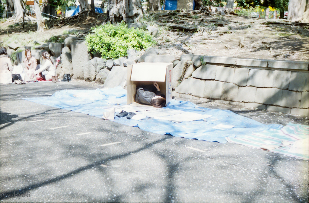 蔵桜　新しい花見のスタイル