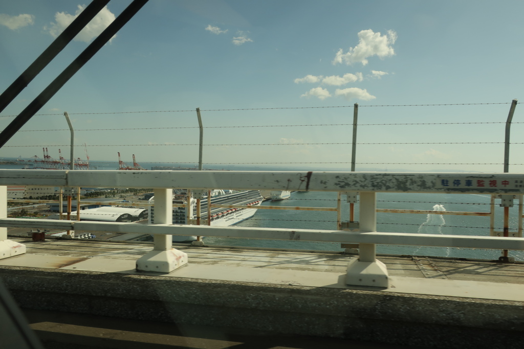 ダイヤモンドプリンセス号（おさらい）