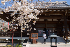 適いそうな予感