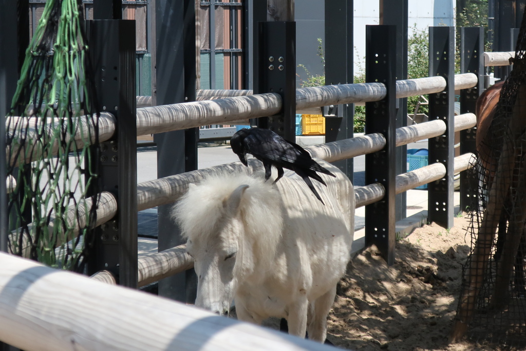 俺とお前は親友