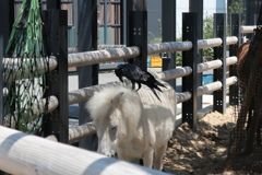 俺とお前は親友