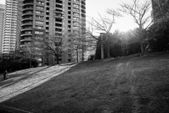 この丘を越えよ