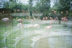 意に反してキモくなった