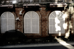 実は全ては幻だ