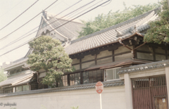CanonⅡＳ改（1955年）　寺